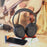 LINDY BNX-60 - Bluetooth Wireless Active Noise Cancelling Headphones with aptX