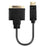 LINDY DisplayPort to DVI Adapter Cable